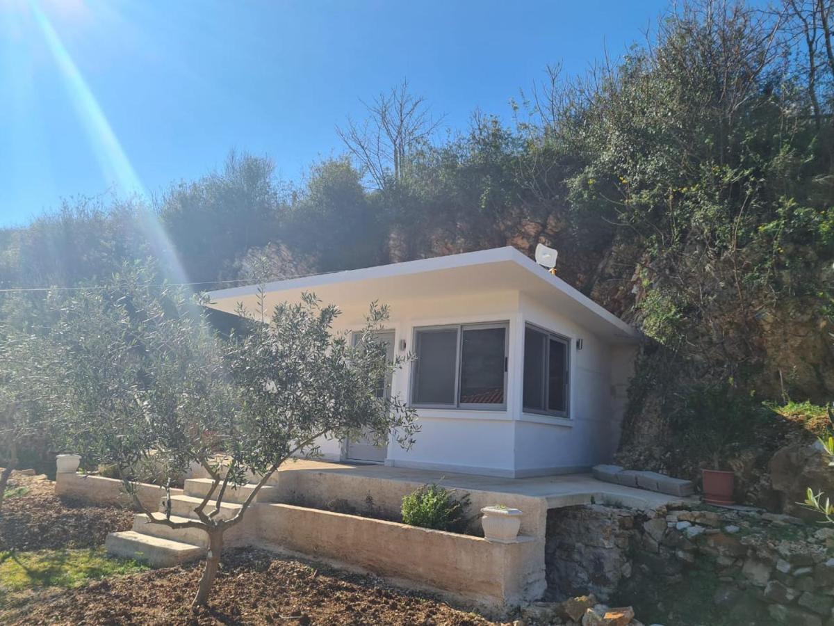 סרנדה Martini Vacation Home מראה חיצוני תמונה