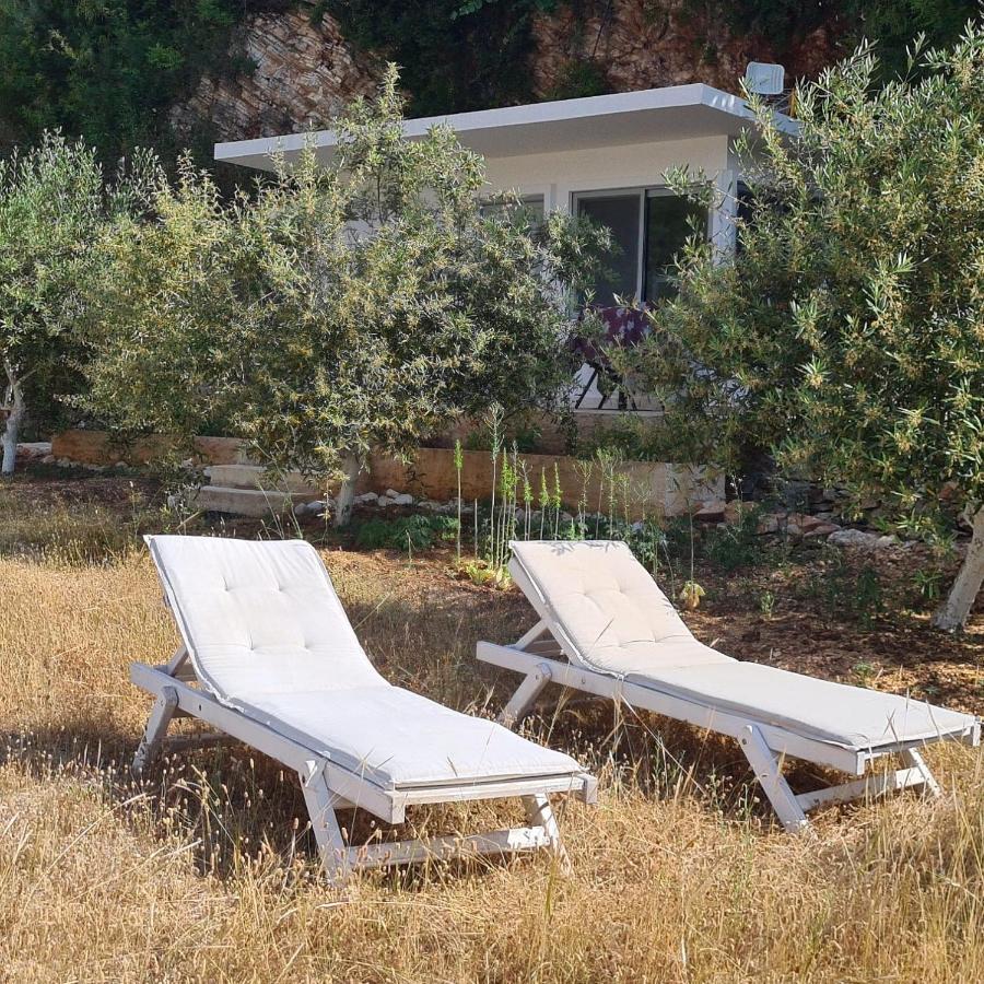 סרנדה Martini Vacation Home מראה חיצוני תמונה